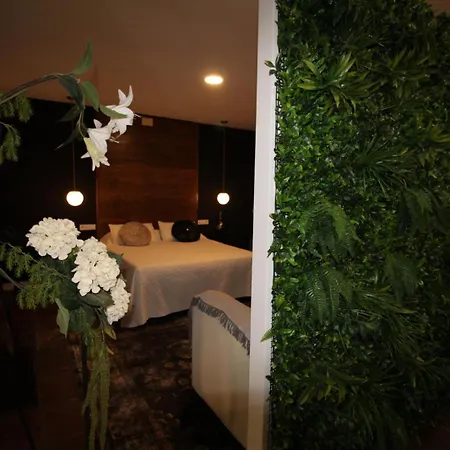 Hébergement de vacances Loft En El Centro Junto A La Playa Fuengirola